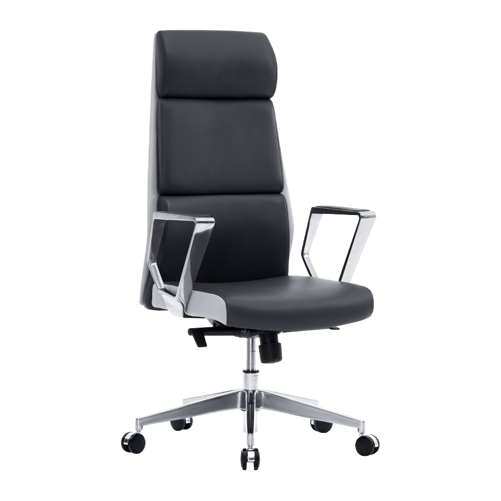 ZR8637H Tall high back office chair with a unique appearance